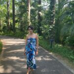 Mallika Sherawat Instagram – Time spent amongst trees is never wasted time, nature is very soothing & healing 🌴🌳 
.
.
.
.
.
.
.
.
.
.
.
.
.
.
.
 #relaxing #chillout #lifeisbeautiful #peaceful #tranquility #quietplace #rechargeyoursoul #calmness #peaceandquiet #timetochill #warmweather #relaxingplace #goodenergy #itsavibe #abundancemindset #positivemindset #raiseyourvibration #powerofpositivity #sunshine #summervibes #sunlight #beautifulweather #dayslikethese #enjoythelittlethings #sunlightphotography #sonya6000 #white Goa, India