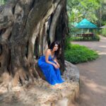 Mallika Sherawat Instagram - 🦋🦋 . . . . . . . . . . #healthymindset #lifeisbeautiful #wildplanet #jungle #goodenergy #onelife #spreadlove #alwaysforward #headup #bluedress #staystylish #loveyouall #planetearth #getoutside #abcmyphoto #respect #earthlovers #treeoflife #wildnature #escape #tropical #wildlife #tree #world #junglevibes #jungletravel #positivethoughts #inspirational #positivenergy #canon5dmarkiv