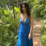 Mallika Sherawat Instagram - Love my walks surrounded by lush green & listening to the soothing sound of birds, nature is our real home 🌴🌳 . . . . . . . . #tropical #palmtrees #tropicalparadise #ocean #getoutside #planetearth #naturegram #naturebeauty #natureshots #naturelover #loveit #positivemindset #abundancemindset #positiveminds #colorful #happyheart #happyplace #happythoughts #creativedesign #creativedaily #creativedesigner #positive #passion #openheart #positivemind #celebration #canon5dmarkiv Goa
