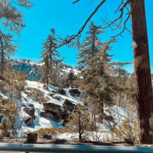 Mamta Mohandas Instagram - A hectic house move in LA followed by a much needed short vacation in an awesome cabin in the Big Bear mountains @theyetidenbigbear @airbnb and then to Palm desert before plugging back into work mode again. 🏔 🌵 🚙  #losangeles #california #bigbear #snow #getaway #vacation #feedthesoul #chill #longdrive #palmdesert #phoenix #arizona #travel #travelphotography #traveling 

Back to the grind! 🎥 #india #newmovie #workmode