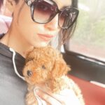 Mamta Mohandas Instagram – You know everything’s looking Up for you, when you are in Love. 

Introducing to you GᑌᑕᑕI . 
My family’s latest baby and ❤️ who completes 3 months today. There is also a freakish coincidence when he came into our lives… that in every way was a sign that he was born just for the Mohandases! But imma leave that to y’all to figure out. 

Cuz I trust you & I ❤️ you all. 
Happy Valentines Day. 

#love #family #puppy #puppylovers #newfamilymember #mamtamohandas #valentines