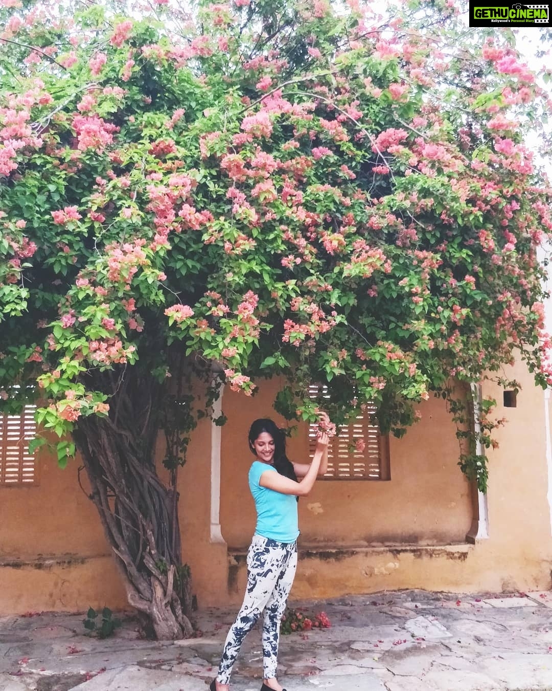 Milana Nagaraj Instagram - #Love and #Flower🌸🌸🌸 You've just got to let grow...❤️