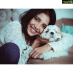 Milana Nagaraj Instagram - Romeo🤍 PC:@vinu5494 #shihtzu #shihtzulovers #shihtzusofinstagram