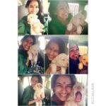 Misha Ghoshal Instagram - Dog lover 😁😍😘 #frn's dog 😁 name is cash 😂