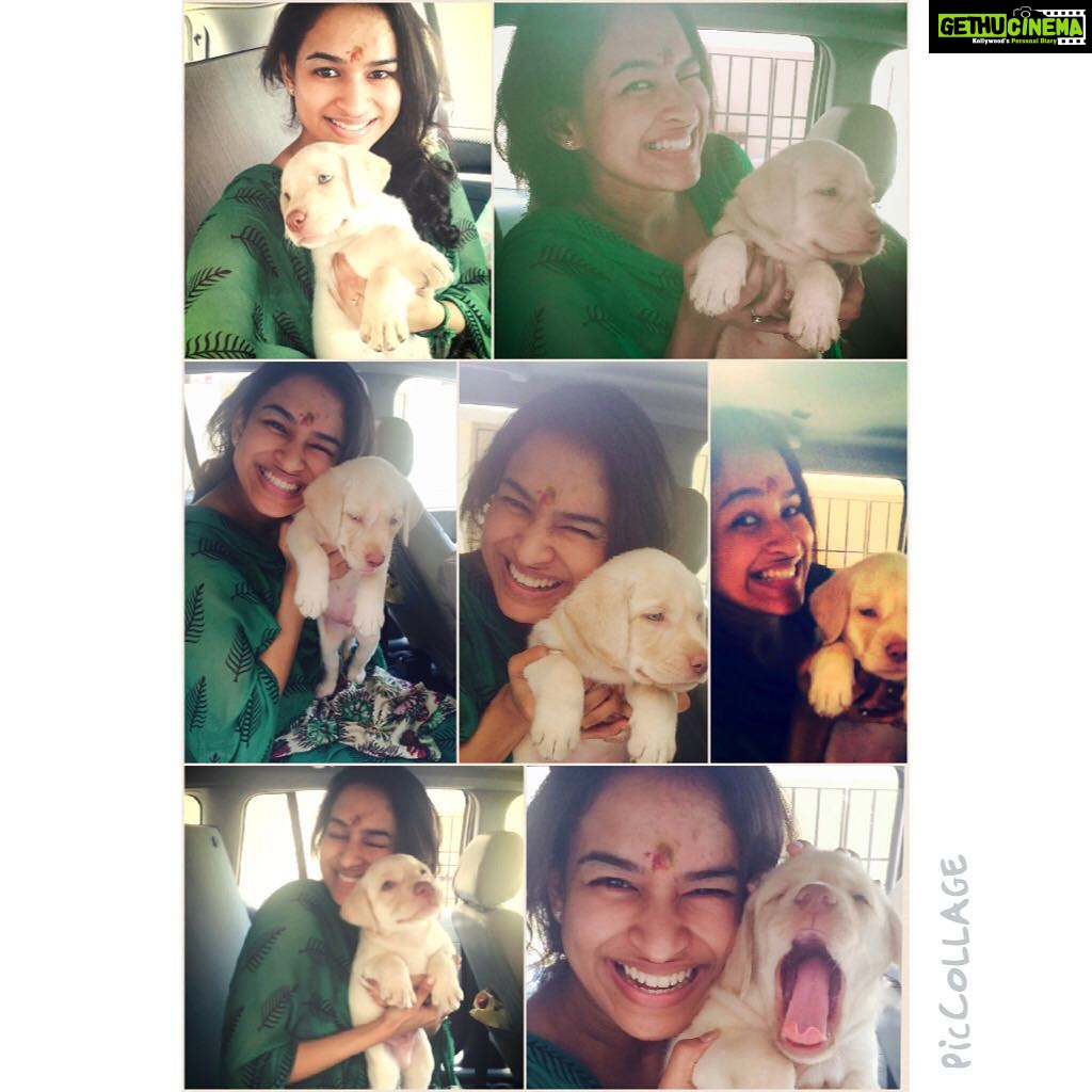 Misha Ghoshal Instagram - Dog lover 😁😍😘 #frn's dog 😁 name is cash 😂
