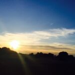 Misha Ghoshal Instagram - I can also do photography okkkkkkk 😏😁😁😁