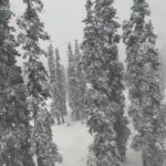 Mouni Roy Instagram - Non stop snowing …. 🌲 ⛄️ 🕺 Also पाहारों के उपर Maggie Maggie Maggie 🍜