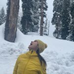 Mouni Roy Instagram - Non stop snowing …. 🌲 ⛄️ 🕺 Also पाहारों के उपर Maggie Maggie Maggie 🍜
