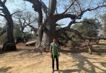 Naga Chaitanya Instagram - Huge thanks to the Telangana government , MP santosh kumar garu and the forests department for giving our family the opportunity to adopt 1080 acres of forest land at chengicherla for the ANR urban park development