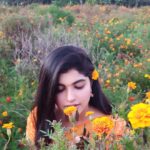 Naina Sarwar Instagram - These captures absolutely need no filters!!!! 🧡😇🧡 Pic credit : my very sincere personal assistant @nandan2000 #ReelandRealme #OOTD #yellowmyfavourite #simplynature #workmode #outdoors #soulfull Vijayawada, India