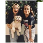 Namitha Pramod Instagram - Today is National Pet Day… For many of us pets are part of the family. Therefore, the uncertainty of the corona period has added more concern for the pet owners. However, it is comforting to note that up to this point there have been no reported cases of the virus being transmitted from pets to humans. Nevertheless, caution is best, try to stay clean while interacting with your pets, always keep them clean, spend more time with them, play with them, and create a stress free environment ... We can survive with them during this uneasy period . Stay at home, Be Safe and Make Sure Your Furry Friends are receiving the best of care! ♥️