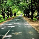 Nandha Durairaj Instagram - Through my lenses#2 #topslip #topslip_tiger_reserve_forest #topslipcoimbatore #topslip