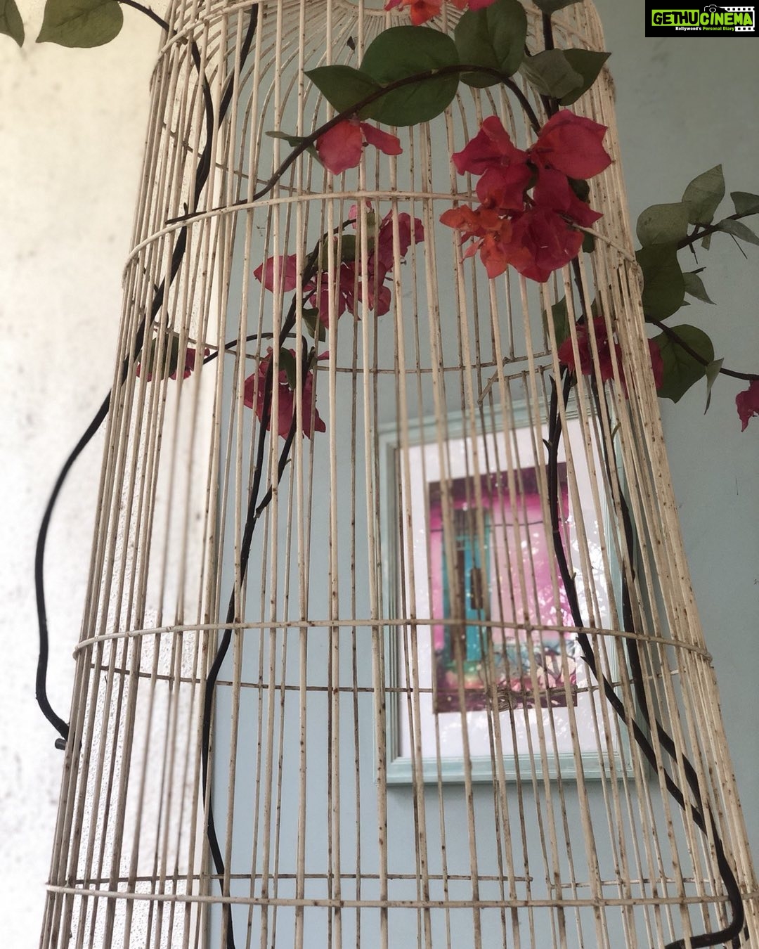 Nandita Das Instagram - A closer look at it...