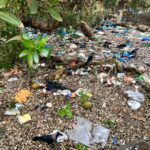 Nandita Das Instagram - Morning walk on the Carter road promenade. Bandra is one of the most happening neighbourhoods in Mumbai. Both these views exist simultaneously, shamelessly. #bmc #bandra #pollution