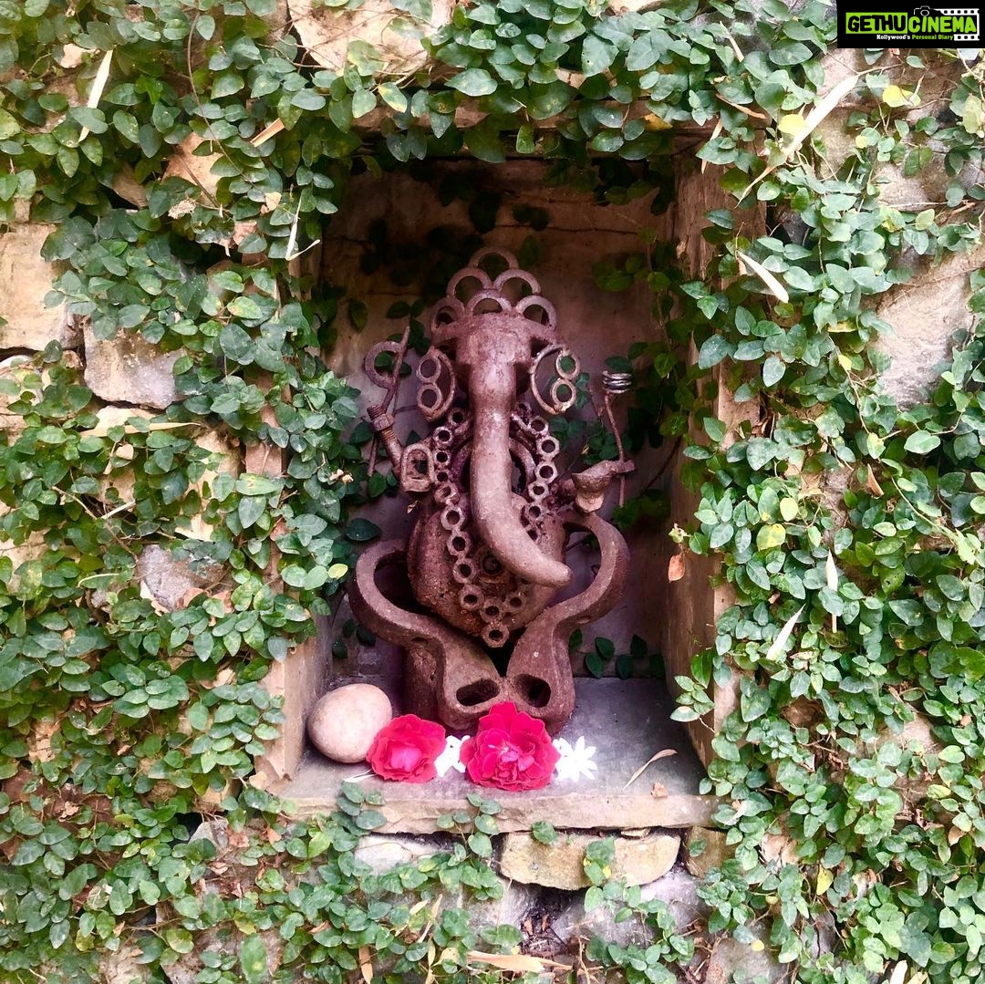 Nandita Das Instagram - At the bend, hidden blessings. @vanajourney