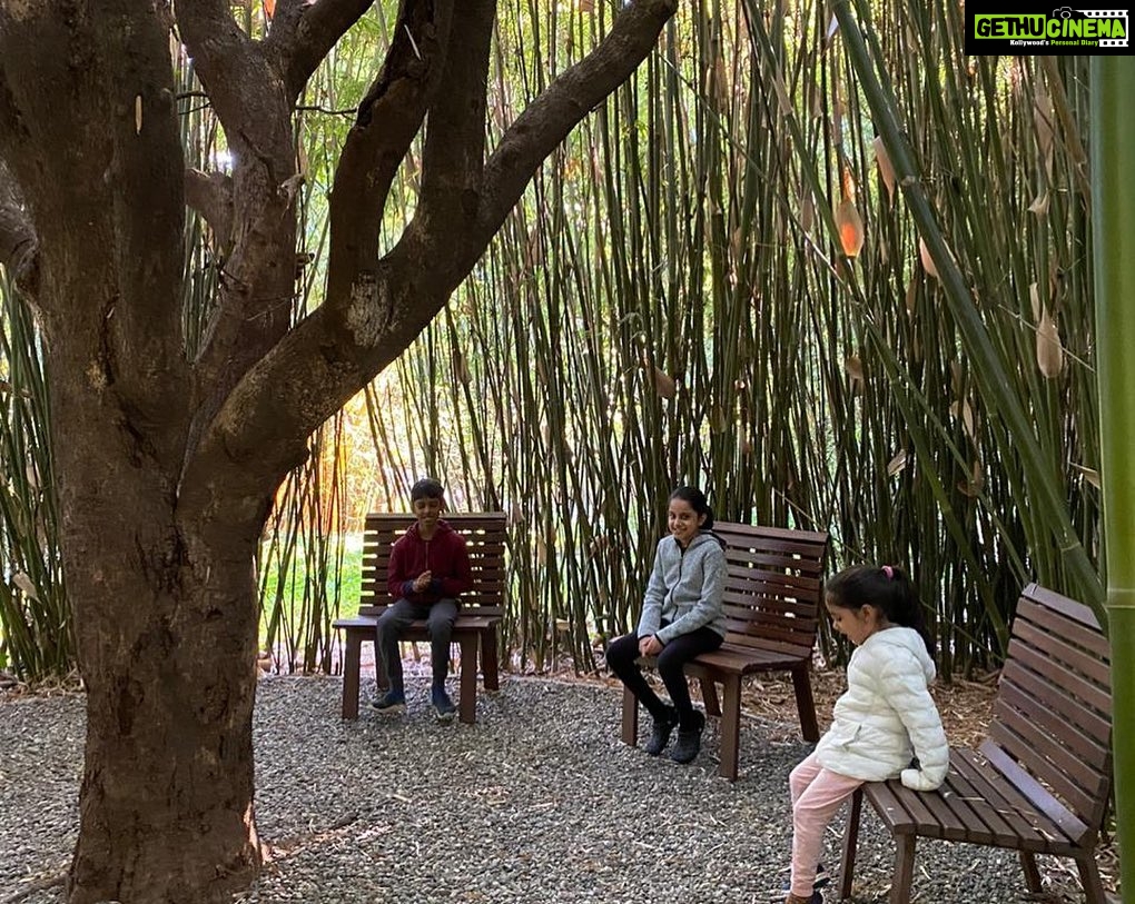 Nandita Das Instagram - Today 2 weeks of bliss comes to an end. I have to say, withdrawing (largely) from the digital world, soaking in nature and inching towards mindfulness was much needed. Vana , a wellness centre in Dehradun pleases all the senses, and beyond. Thankfully they are now open to kids too. My son and and his new found friends, cooked, did gardening, painted, sang, played, climbed trees… all that they should be doing instead of sitting in front of a screen. And I found time to focus on my body, mind and soul and most importantly took long deep breaths! We were super safe, unmasked and in the open. What more could we ask for in such times. Thank you and will miss you @vanajourney Dehra Dun, India