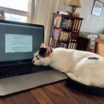 Nandita Das Instagram - She is script writing with me #cat