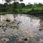 Nandita Das Instagram - Last few days in nature before we go back to the city. Even working on the laptop is more pleasant here. Sending your way some river breeze, smell of the earth, fragrance of the flowers and chirping of the birds. #nature