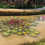 Nandita Das Instagram – With nature, in peace, however transient it may be. #vietnam