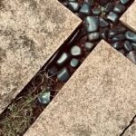Nandita Das Instagram – Rains bring the little creatures out. Reminding us of their existence. Thanks Millipede and tiny Ant (hope you spotted her running around) for coming over to our place. ❤️