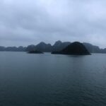 Nandita Das Instagram – Cruising in the #halongbay #vietnam it was magical. And yes the sea is green and all those other colours. For real.