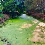 Nandita Das Instagram – With nature, in peace, however transient it may be. #vietnam