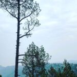 Nandita Das Instagram – Trip to Kanatal. Rishikesh.