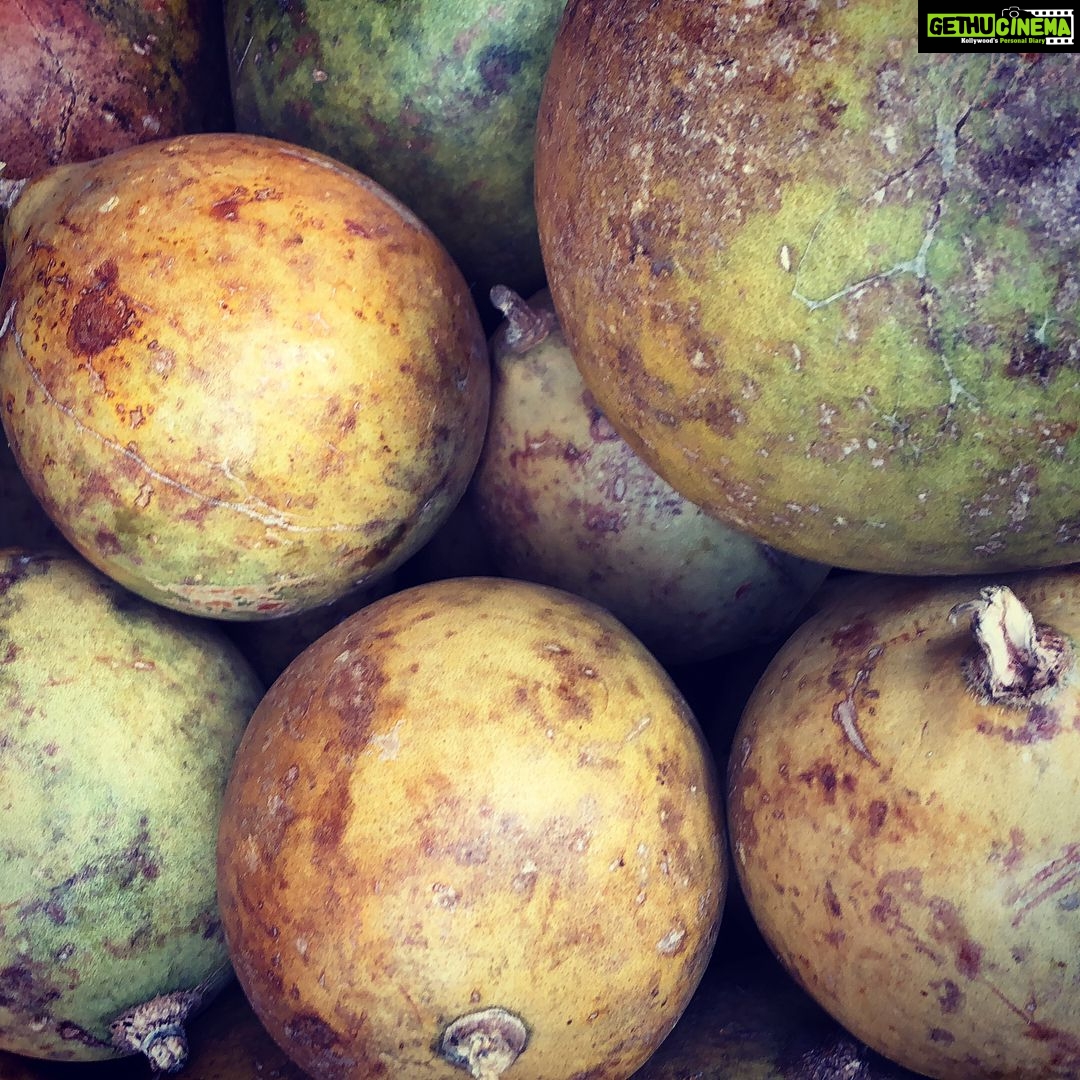 Nandita Das Instagram - When you zoom into things they create new patterns. #nature #patterns