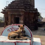 Nandita Das Instagram - Some gems on a location scout for my next film. Don’t ask me where…yet!