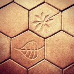 Nandita Das Instagram - When you zoom into things they create new patterns. #nature #patterns
