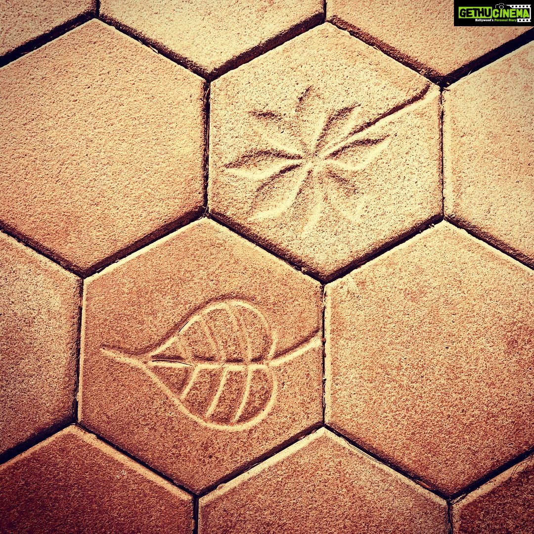 Nandita Das Instagram - When you zoom into things they create new patterns. #nature #patterns