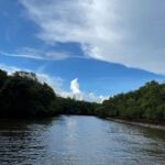 Nandita Das Instagram – Skies…no brush can paint these. I kept looking at them. Envy the ease with which they change, transform, evolve. Goa, India