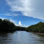 Nandita Das Instagram - Skies…no brush can paint these. I kept looking at them. Envy the ease with which they change, transform, evolve. Goa, India