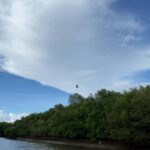 Nandita Das Instagram - Skies…no brush can paint these. I kept looking at them. Envy the ease with which they change, transform, evolve. Goa, India