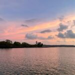 Nandita Das Instagram - All in just one evening. Untouched, magical, sublime. The experience was more beautiful than the images. #river #sky #boat Goa, India