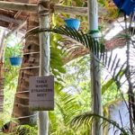 Nandita Das Instagram - Post a lovely Mediterranean lunch and music at @keficafebistro with friends. Loved the sign at one of the tables. After all we were all strangers before we became friends! Goa, India