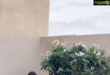 Nandita Swetha Instagram - Is this song matching for this video?🙈 . #indianreels #reels
