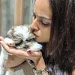 Nandita Swetha Instagram - Meet Mr.Leo❤️❤️ . . #cutiepie #adorable #love #pet #petlover #shitzu #shitzusofinstagram #cute #love #puppy #kid #hyderabad