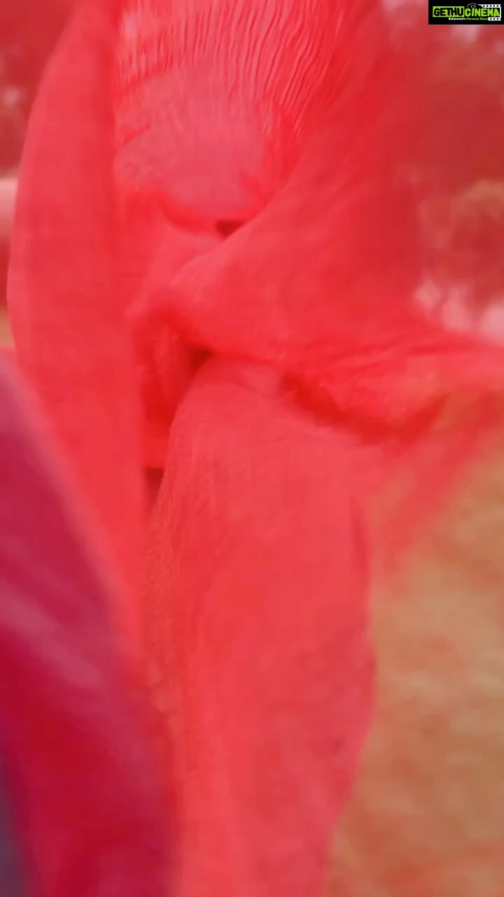 Nandita Swetha Instagram - High on Happiness❤️❤️❤️ . . Hairstyle @vadhuvumakeupstudio #reel #tamilsong #yaanji #madhavan #tamil #tamilactress #tamilcinema #nanditaswetha #instavideo #instagram #instagraff #instagramers #south #tfi #hyderabad #tamilnadu #tamilbgm