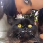 Nandita Swetha Instagram – Me or Lucky? 
.
.
#catlove #cats #catsofinstagram #selfie #sharpeyes #pets #petsofinstagram #blackcat #seberian #instagram #instapic