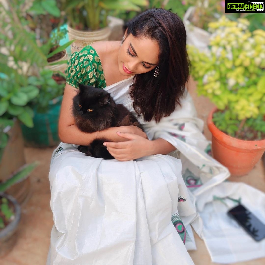 Nandita Swetha Instagram - I love pets. We have 3 dogs, one cat & a fish. I miss Mr.Bell though! I love this cutie Mr.lucky πββ¬ . . Wearing @ar_handlooms_kuthampully . #whitesaree #greenblouse #cat #blackcat #siberiancat #grey #pets #love #petlife #petlovers #petsofinstagram #cats #lockdownclick #staysafe #covidindia #tfi #actor #south #bangalore #nanditaswetha