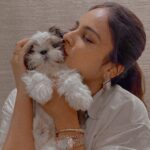 Nandita Swetha Instagram – Ok many of you are asking me about him. 
Meet @withlovekushi ❤️
The new life entered to my world. He bought me joy, energy & a lot. 
.
#shitzu #kushi #babyboo