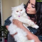Nandita Swetha Instagram – I never imagined this boy in my arm wil become so important in my life. He bought my energy back. Joyful kid. 
Swipe ▶️▶️
.
.
#bell #mykid #attitudeboy #baby #life #love #pet #petlover #handsome #youngestmember #family #insta #cat #parsiancat #beauty #joy