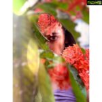 Nandita Swetha Instagram – I always wanted to learn photography. This #quarantine is permitting me to experiment lot of things. Here is one of it. 
#selfportrait #shotoniphone11promax #Nanditaclicks 
Editing assisted my brother @sandeep_fp 
#instapic #portrait #edited #selfclick
