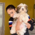 Nandita Swetha Instagram - Hello from @withlovekushi . #goofy #shitzu #pet @kushi