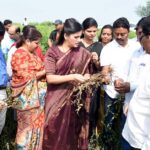 Navaneet Kaur Instagram - अमरावती जिल्ह्यातील हवालदिल झालेल्या शेतकऱ्यांच्या व्यथेला महत्व देऊन भातकुली तालुका तसेच दर्यापूर मतदार संघातील अधिकाऱ्यांच्या ताफ्यासह शेतकऱ्यांच्या शेत शेतामध्ये जाऊन सोयाबीन , कापूस , मुंग, ज्वारी, मका , उडीद इत्यादी खराब झालेल्या पिकांची केली पाहणी....