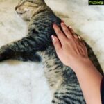 Navya Nair Instagram – Look at the hero sleeping when all the election discussions are happening around .. sleep while u sleep ..