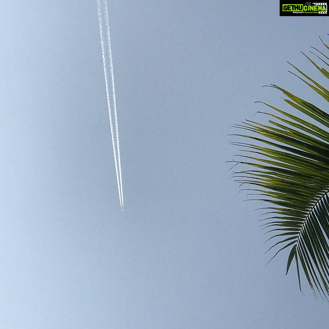 Navya Nair Instagram - Morning sight ....