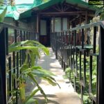 Navya Nair Instagram - Go where you feel most alive .. .. @treehouse Dream Catcher Resort