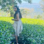 Navya Nair Instagram - You are a leaf scattered by an invisible wind .. Dont u know something is moving you ???@dcprm @spicecountryresortsmunnar Dream Catcher Resort